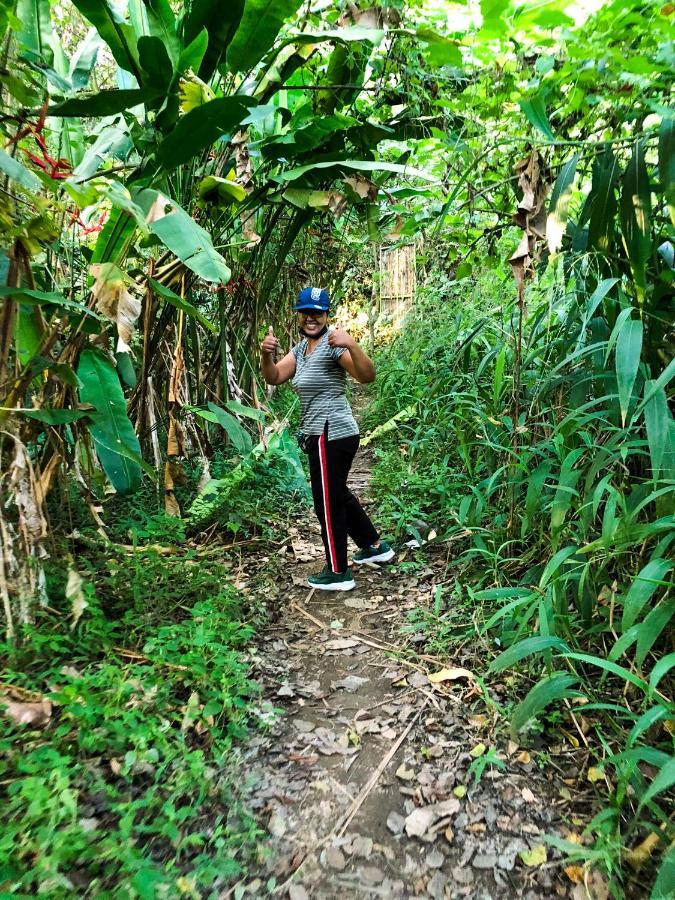 Rayshiva Homestay Ubud Exteriér fotografie