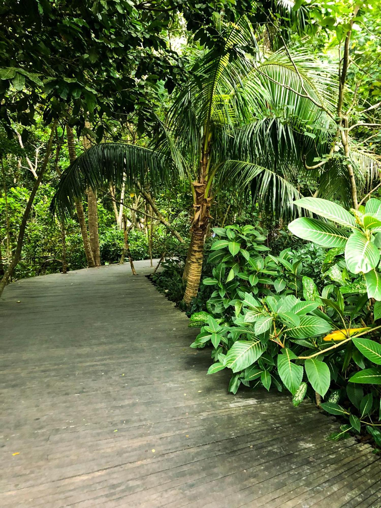 Rayshiva Homestay Ubud Exteriér fotografie